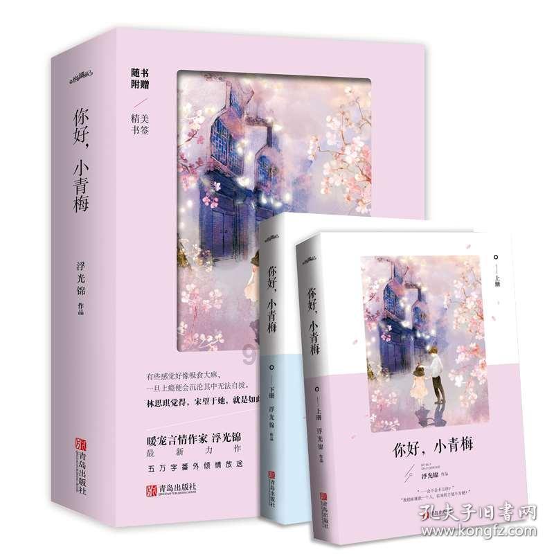 圣诞老人搭末班车4
