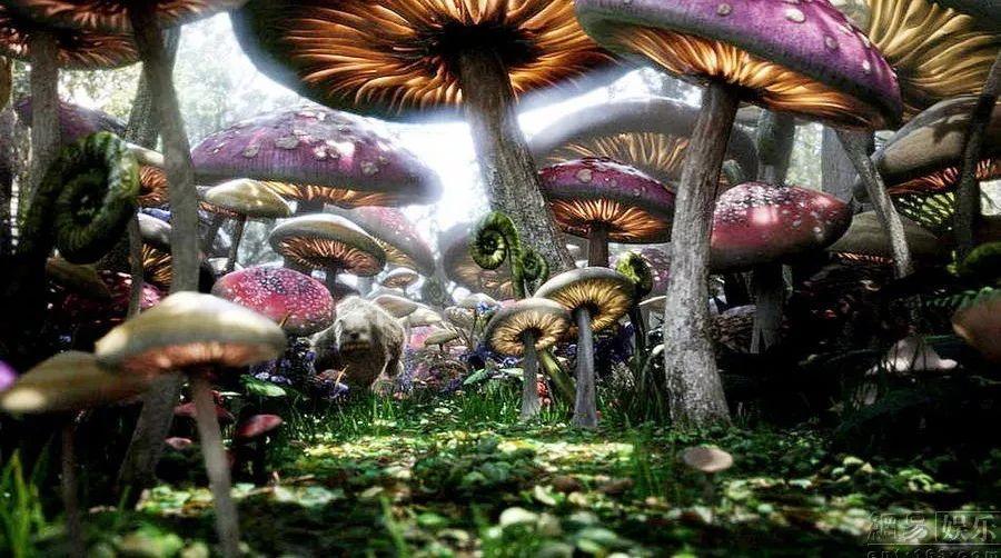 史上最贱小游戏之网络